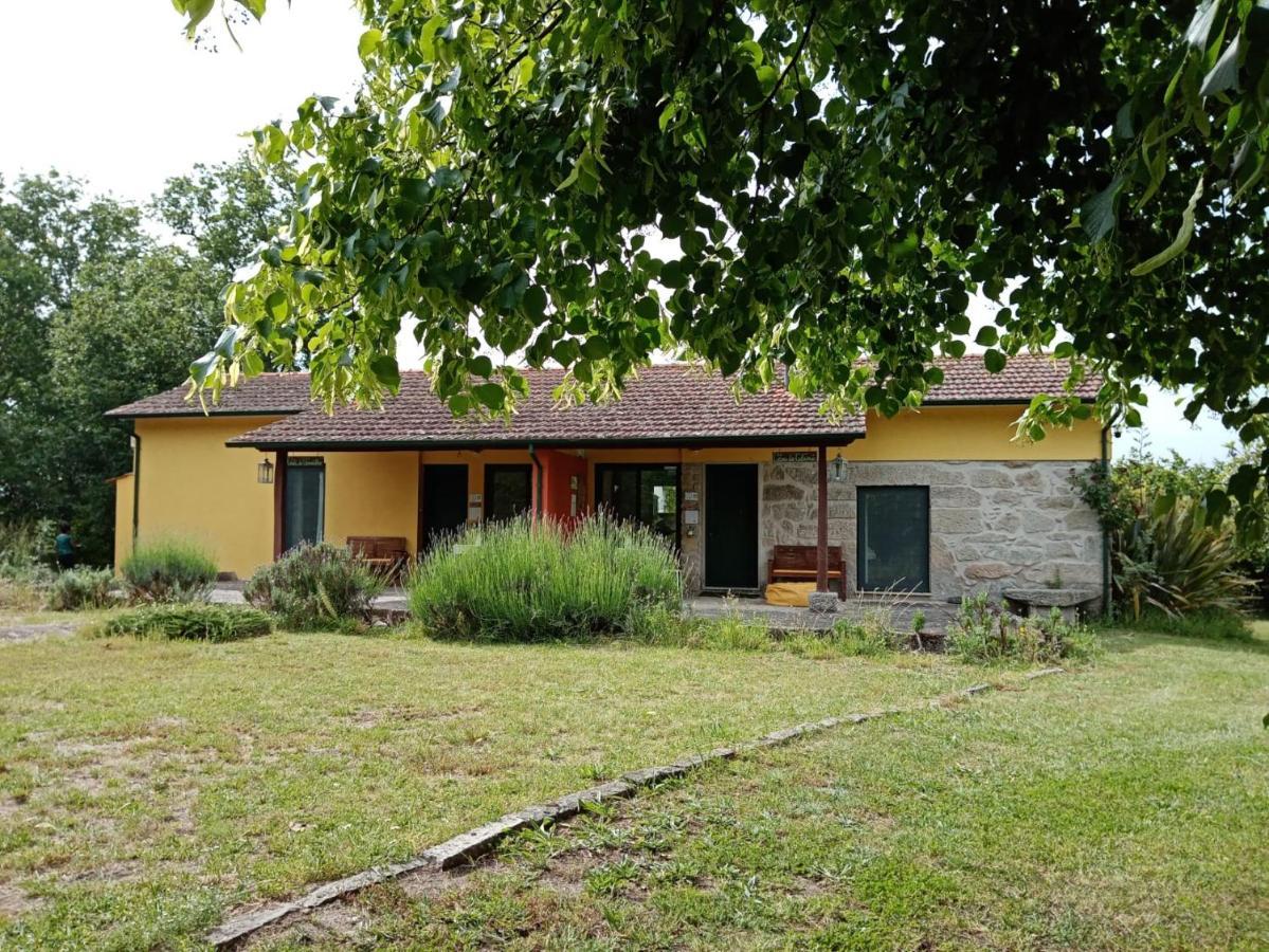 Casa Das Palmeiras-Pedagogic Farm Mangualde Exterior foto