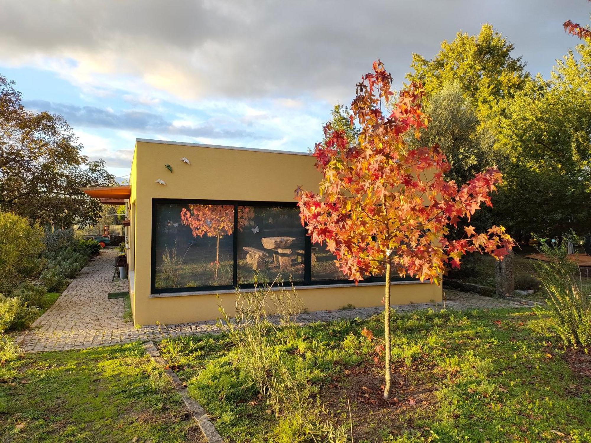 Casa Das Palmeiras-Pedagogic Farm Mangualde Zimmer foto