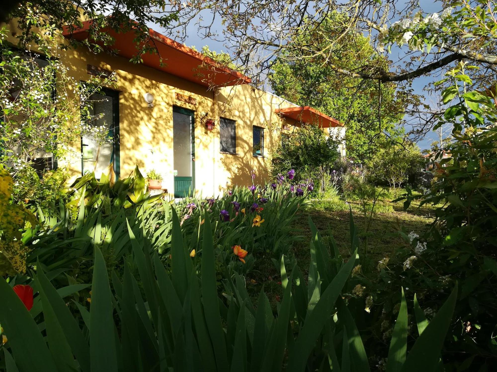 Casa Das Palmeiras-Pedagogic Farm Mangualde Zimmer foto